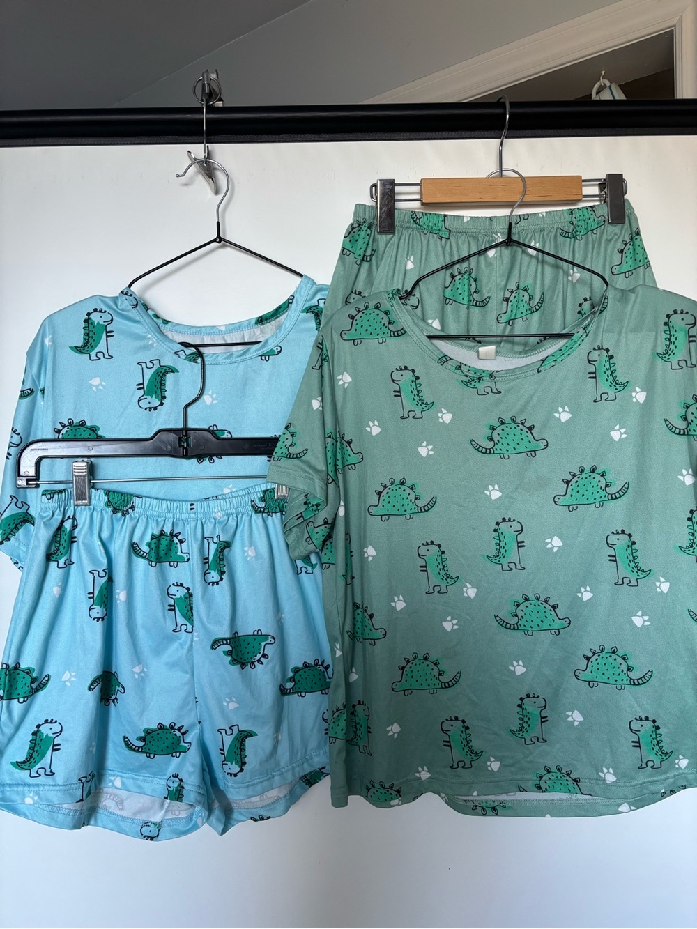 Dinosaur Print Women's Pajama Set - Light Blue & Sage Green